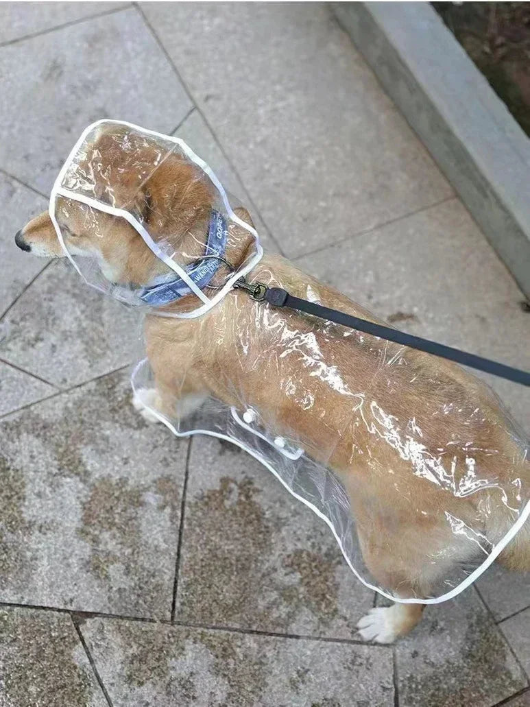 Capa de chuva transparente para cães