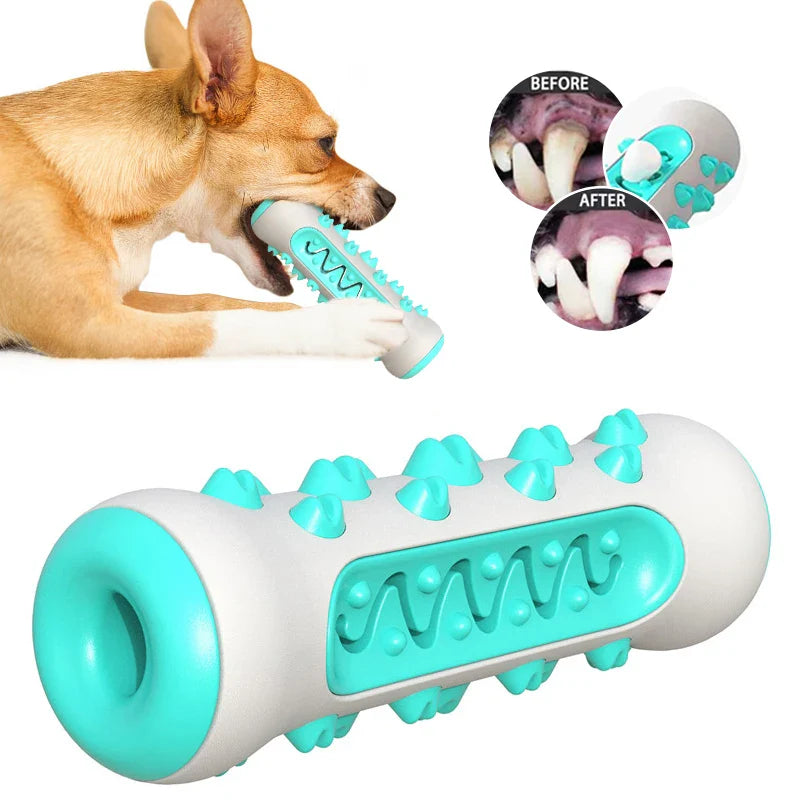 Brinquedo dental multifuncional para cães