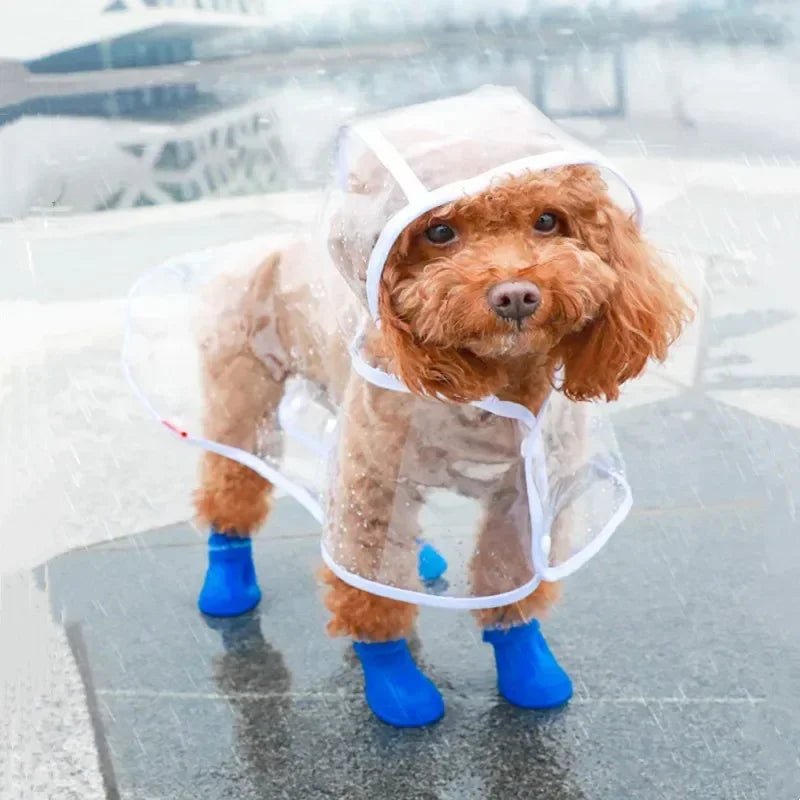 Capa de chuva transparente para cães