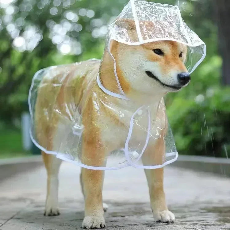 Capa de chuva transparente para cães